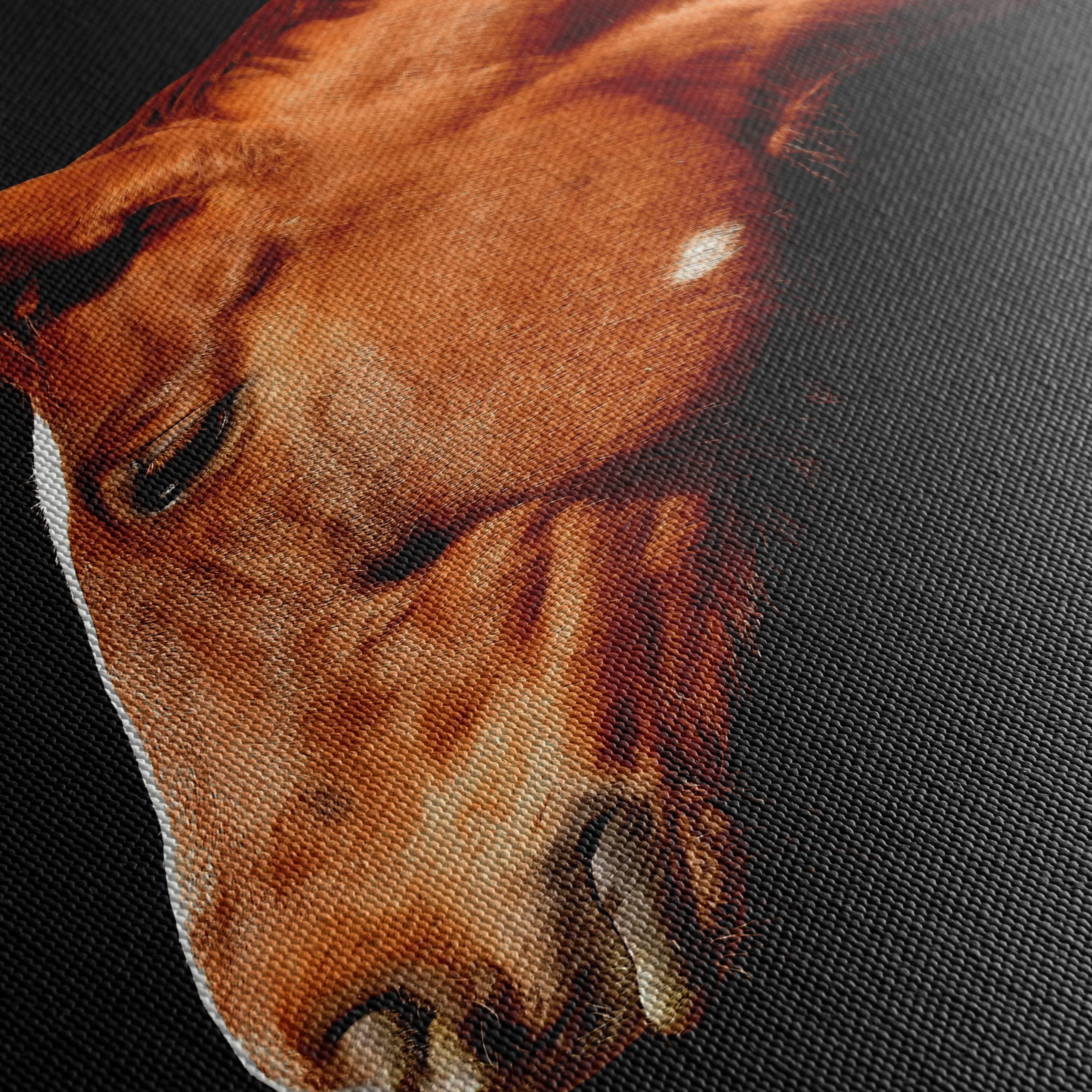 Elegant Horse Portrait on Black - Image 5