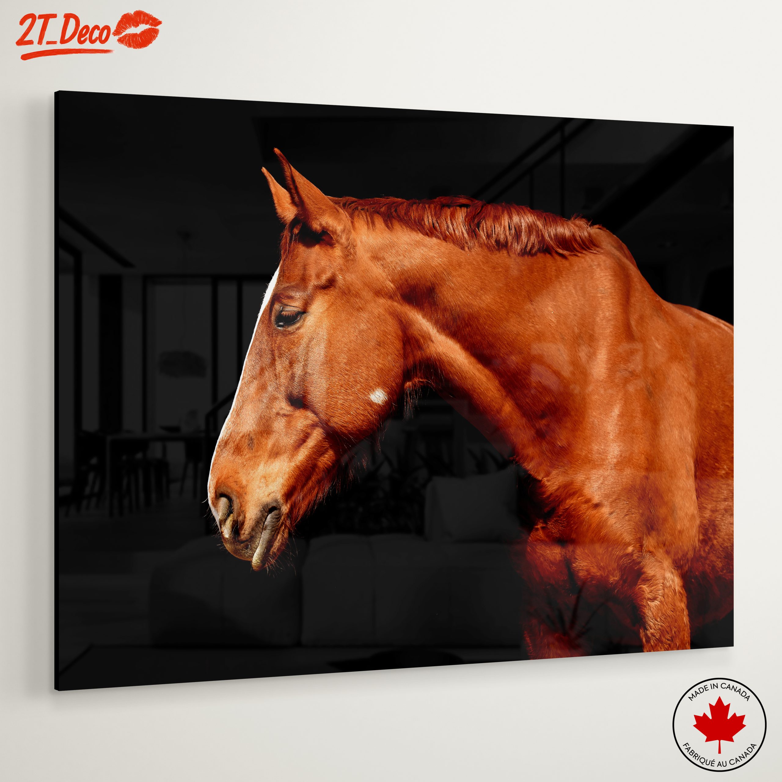 Elegant Horse Portrait on Black - Image 6