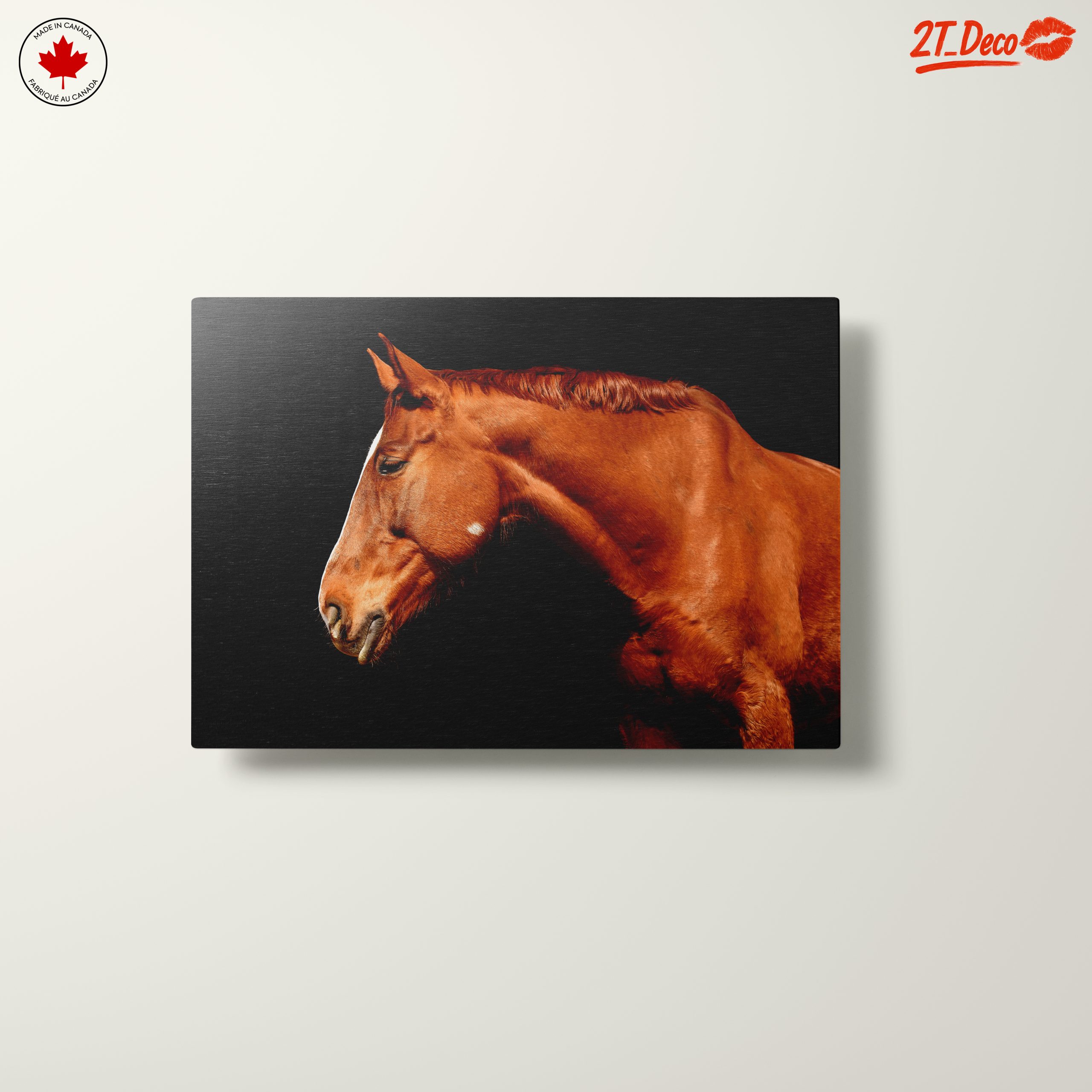 Elegant Horse Portrait on Black - Image 10