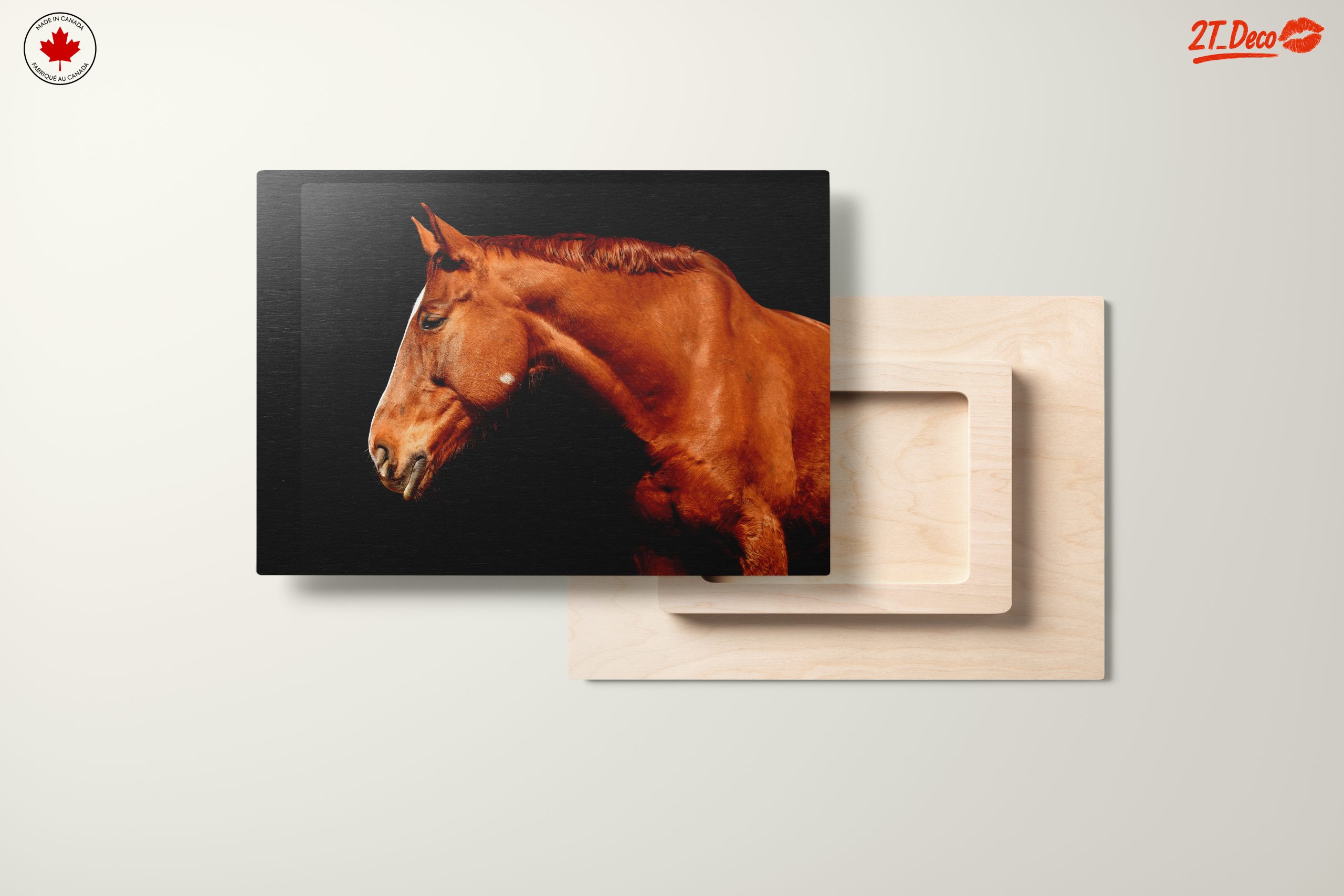Elegant Horse Portrait on Black - Image 11