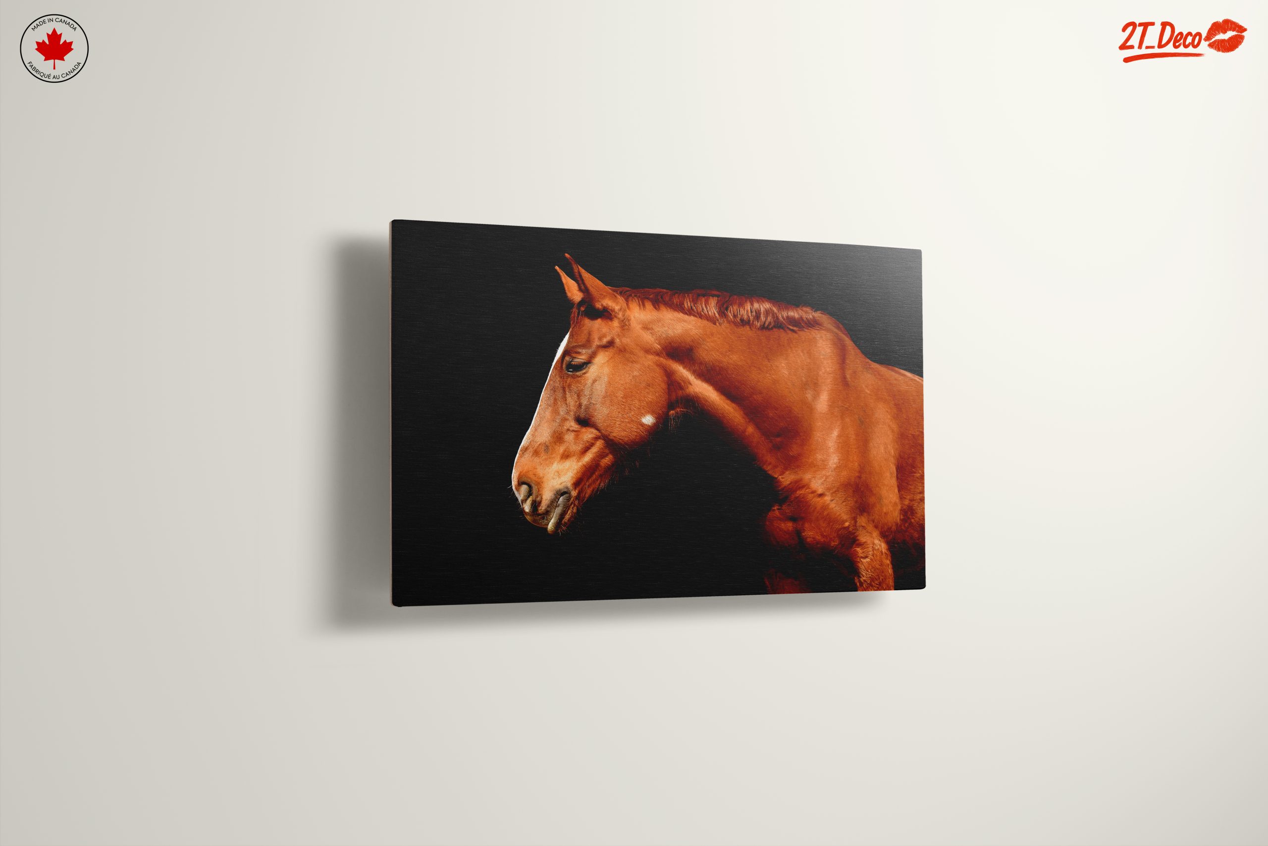 Elegant Horse Portrait on Black - Image 13