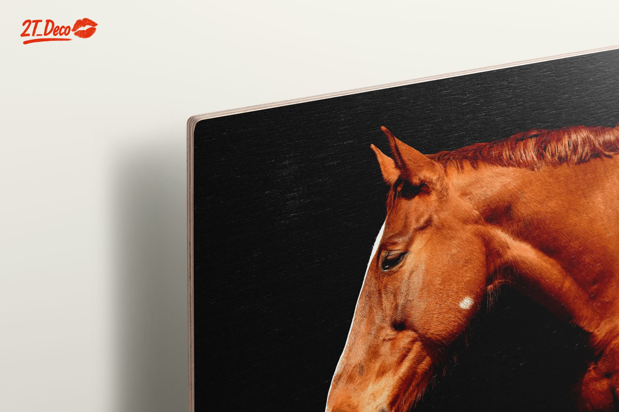 Elegant Horse Portrait on Black - Image 15
