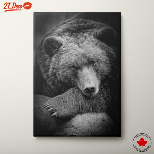 Realistic Black and White Bear