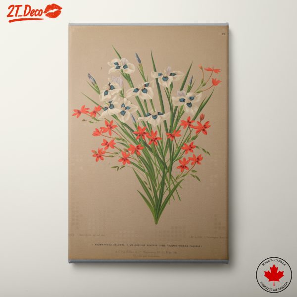 Vivid Botanical Floral Artwork with White and Red Flowers
