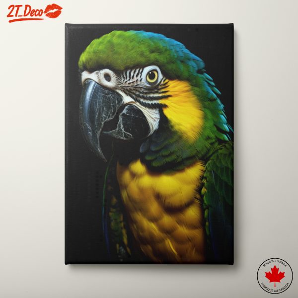 Colorful Parrot Wall Art 2