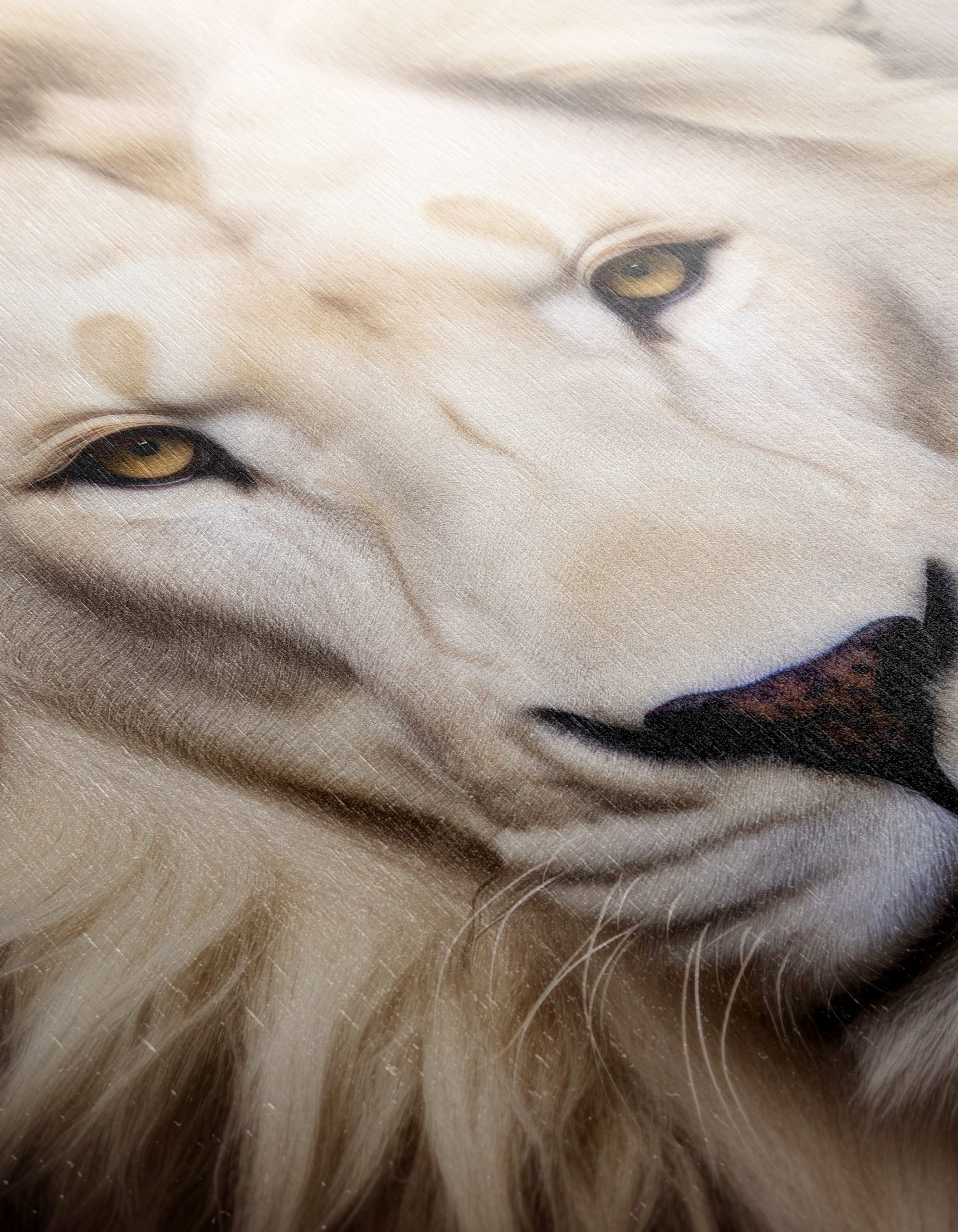 Majestic Lion Portrait Wall Art 4 - Image 12