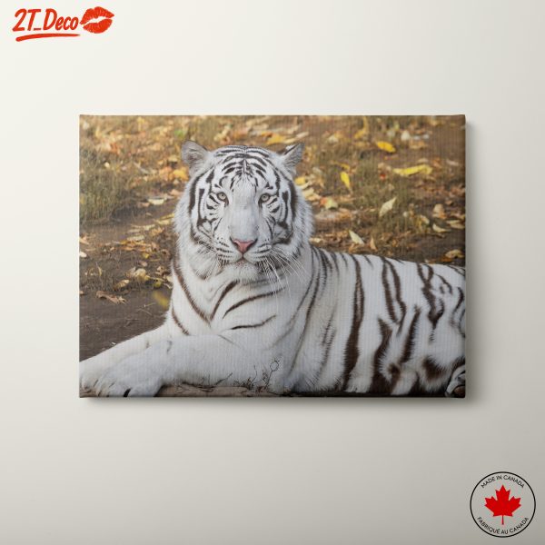 Majestic White Tiger Wall Art 3