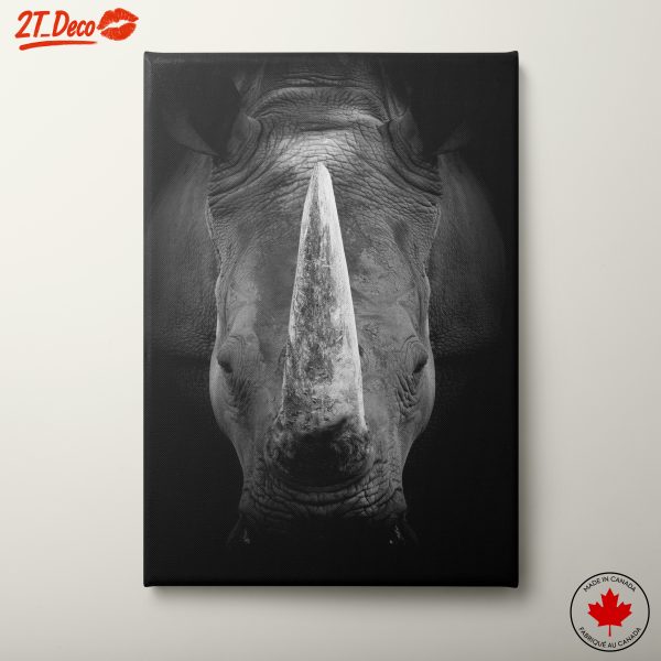 Striking Black and White Rhinoceros Art