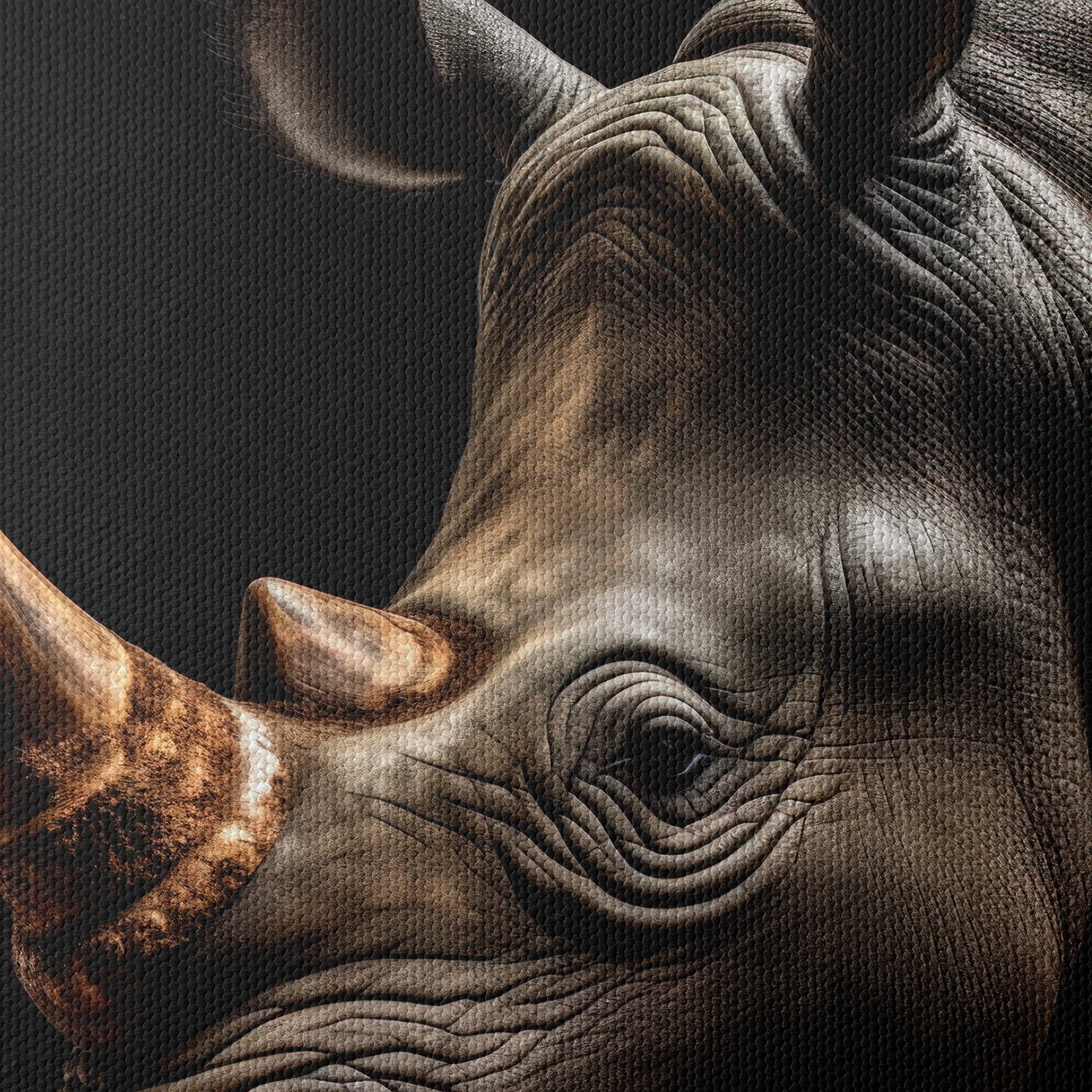 Close-Up of Majestic Rhinoceros - Image 4