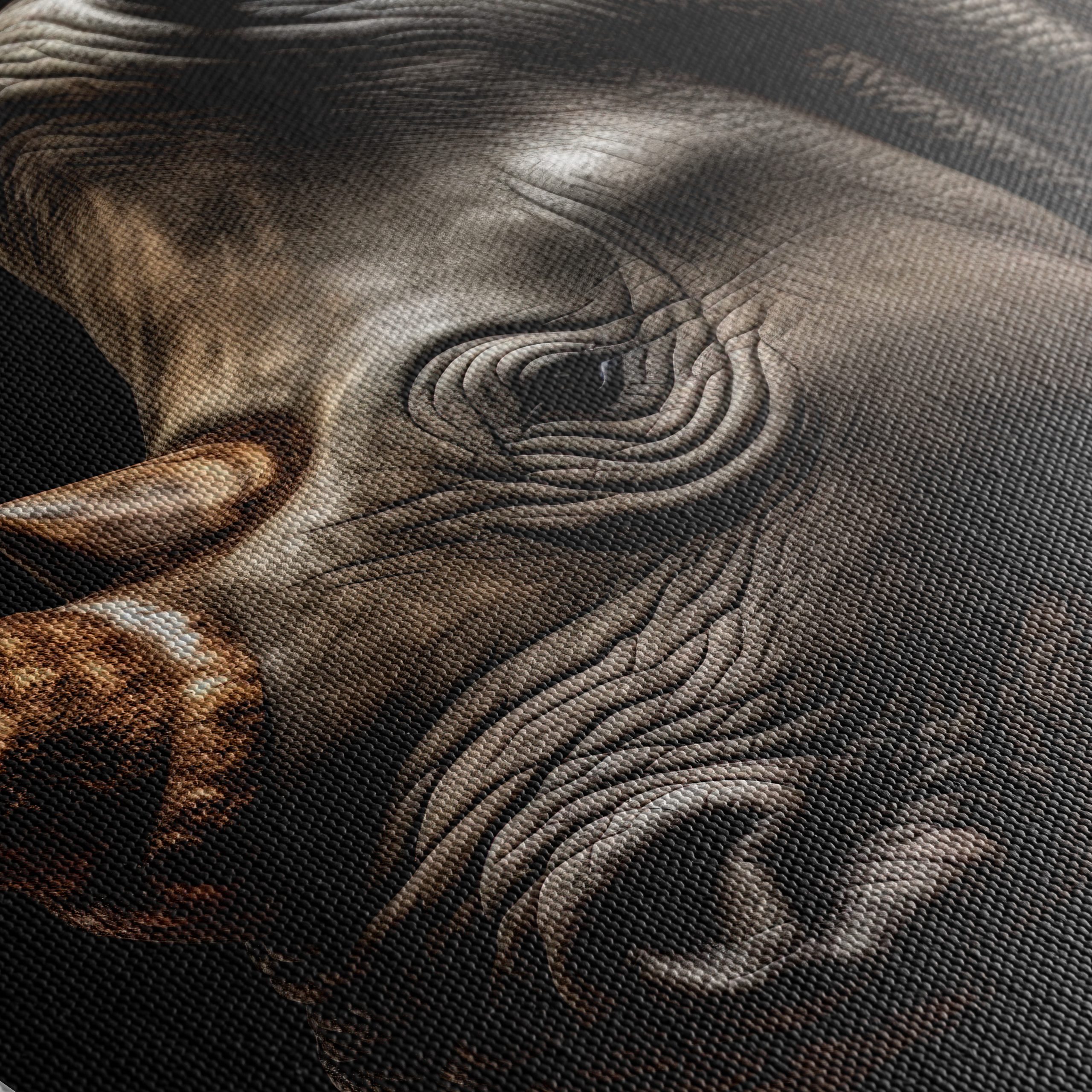 Close-Up of Majestic Rhinoceros - Image 5