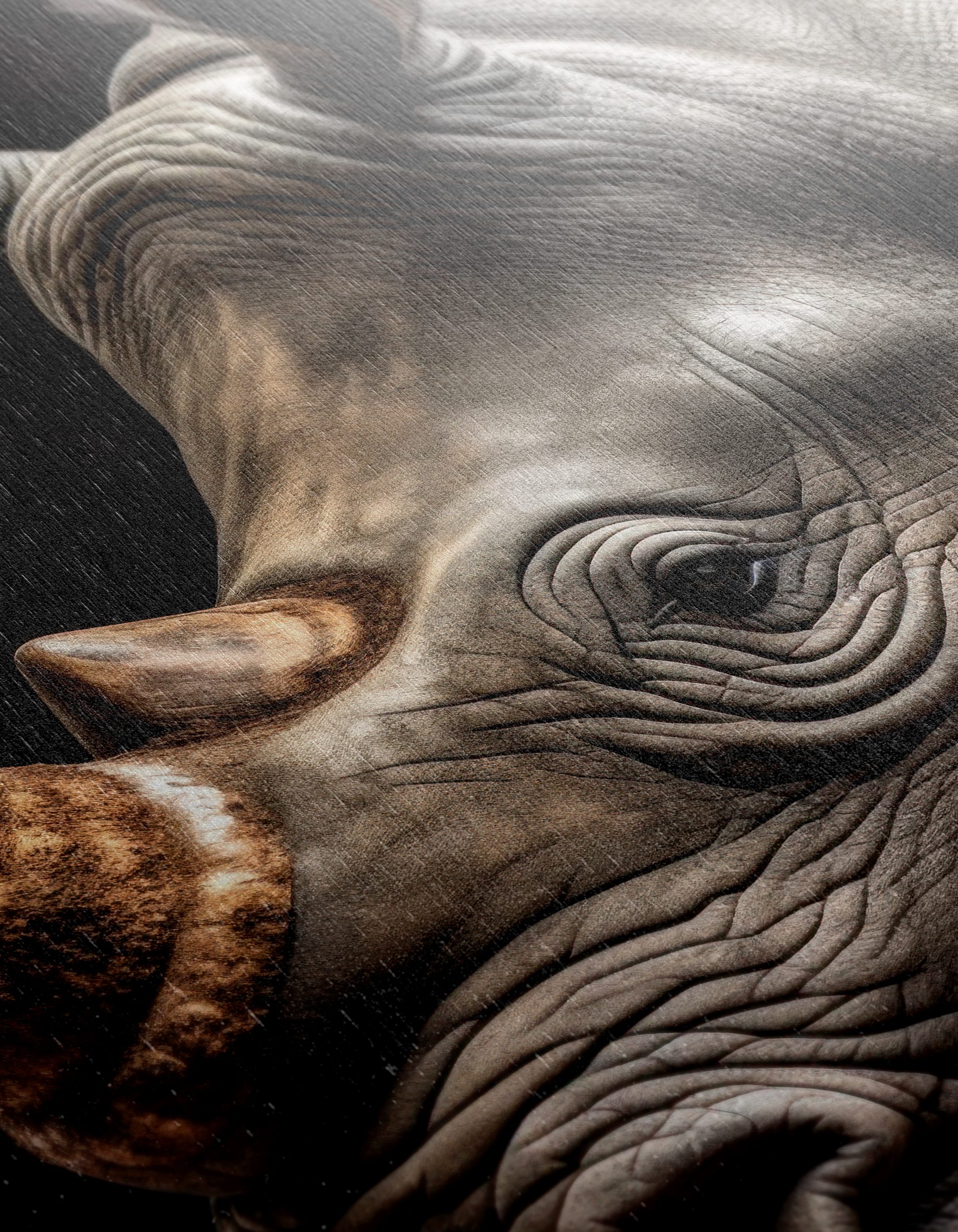 Close-Up of Majestic Rhinoceros - Image 12
