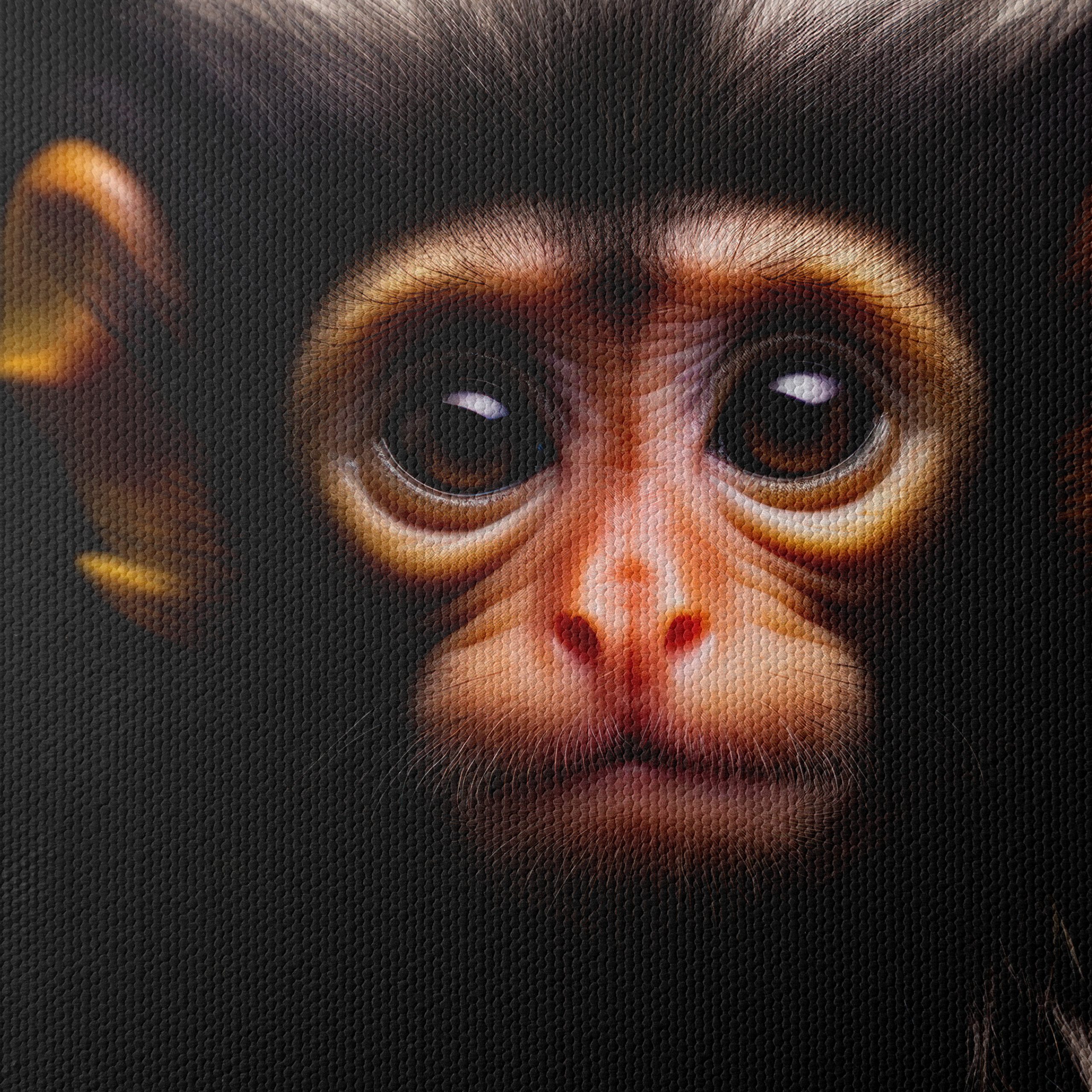 Close-Up Portrait of a Monkey 3 - Image 4