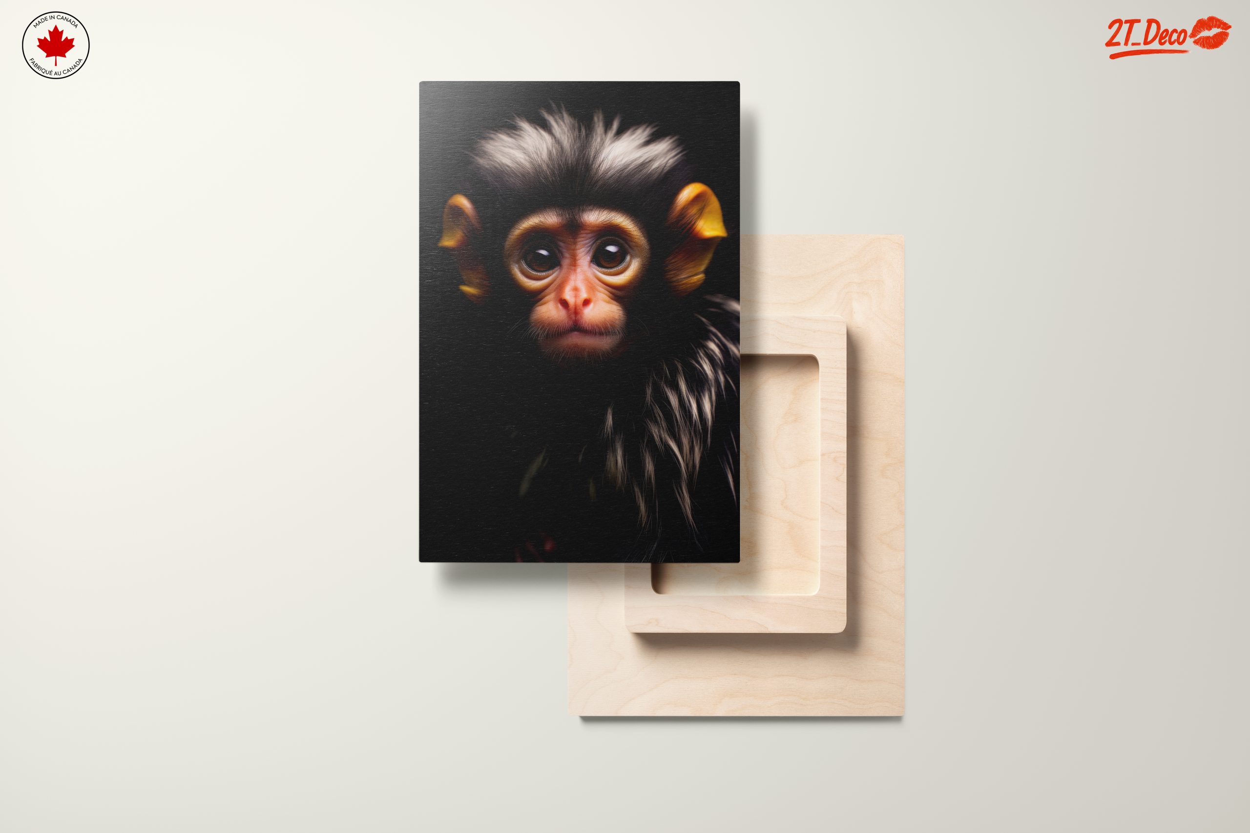 Close-Up Portrait of a Monkey 3 - Image 11