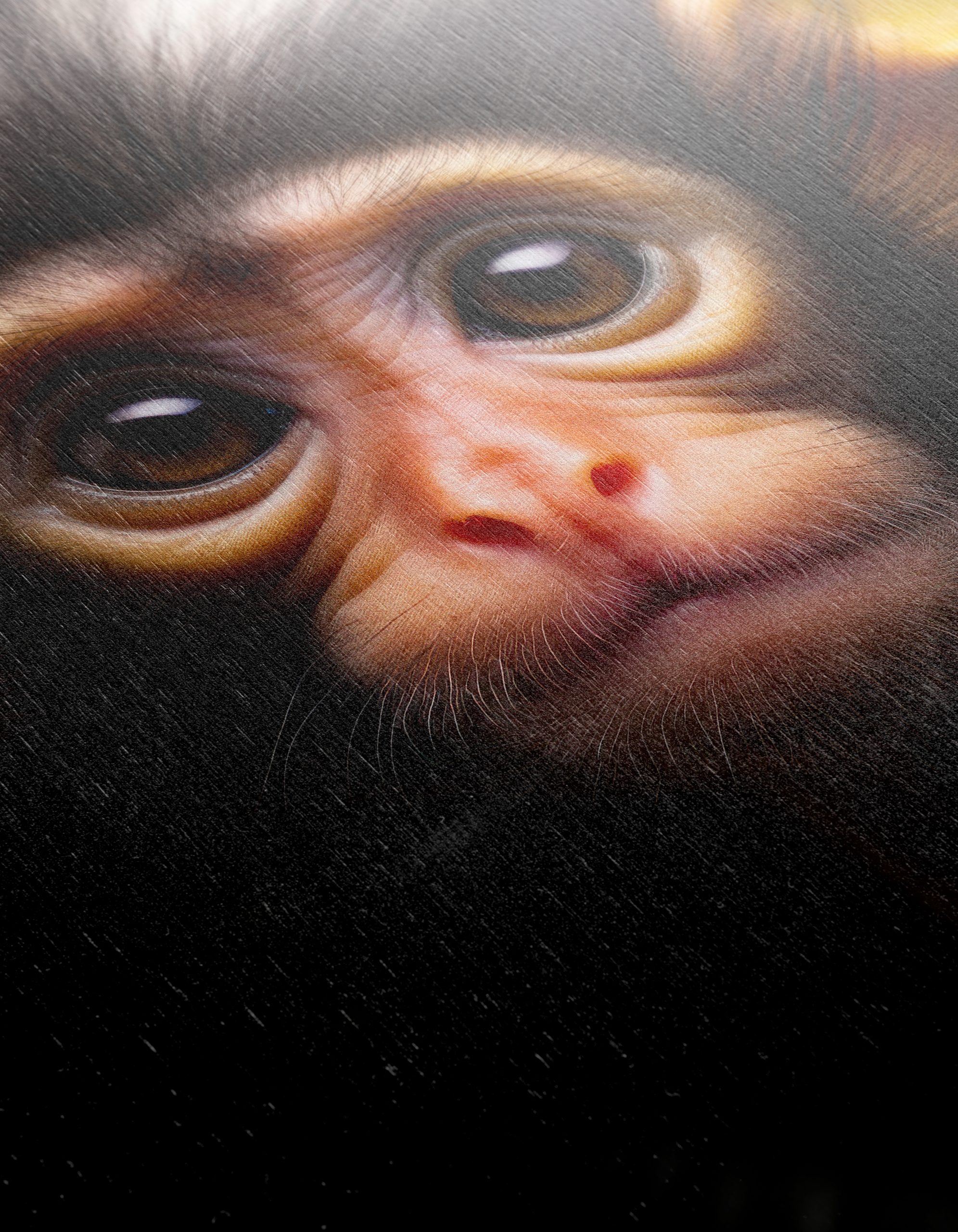 Close-Up Portrait of a Monkey 3 - Image 12