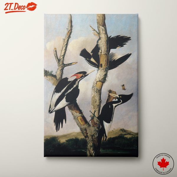 Colorful Artistic Representation of Woodpeckers