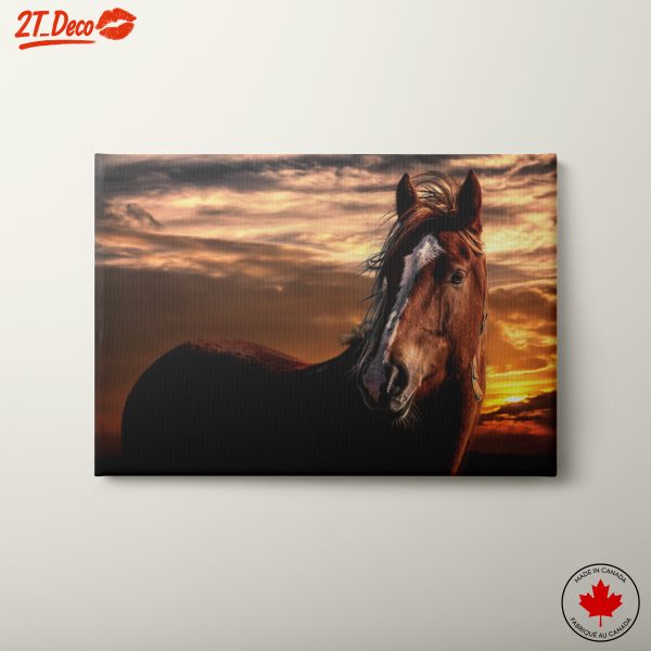 Stunning Horse Against Sunset Sky
