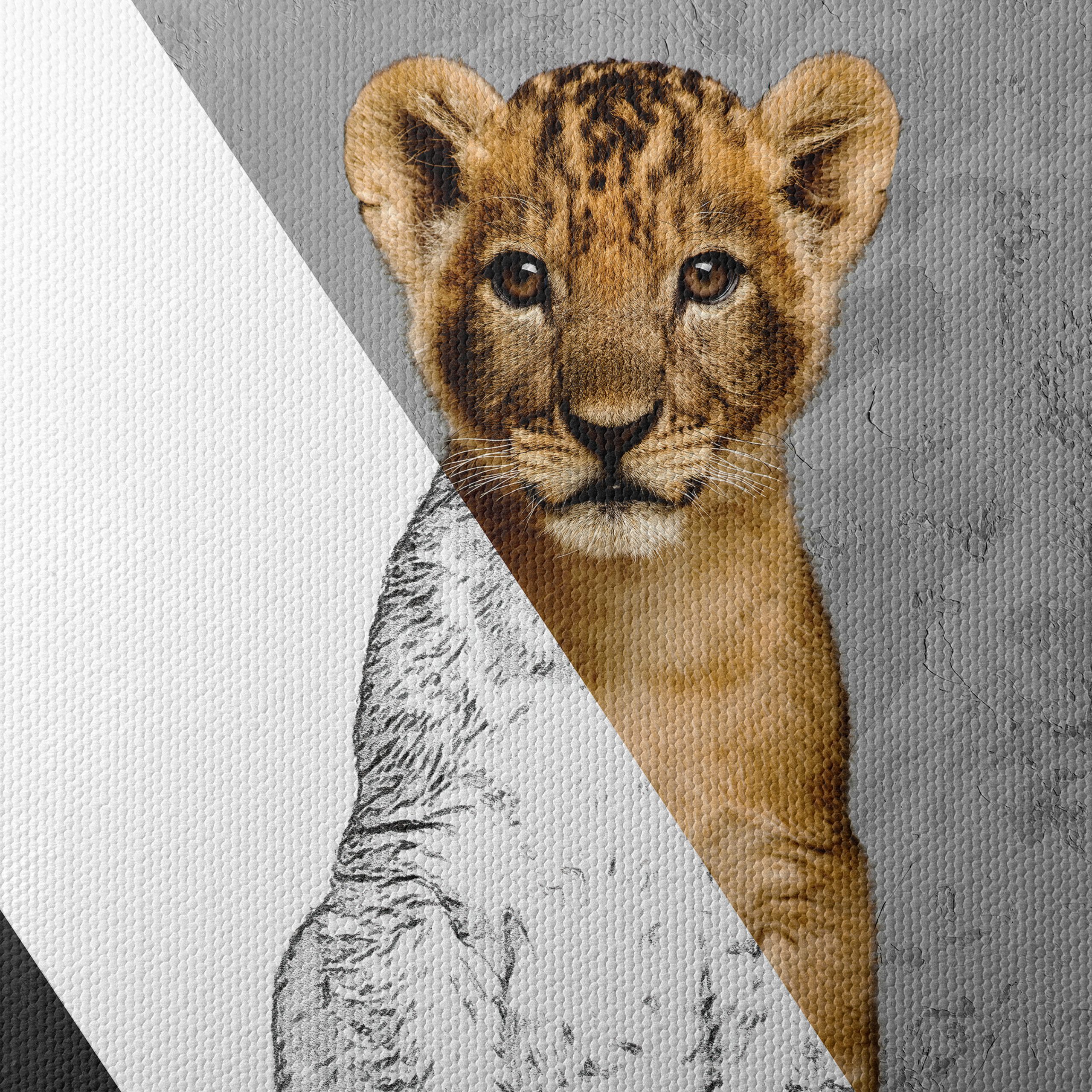 Stylized Lion Cub Wall Art - Image 4