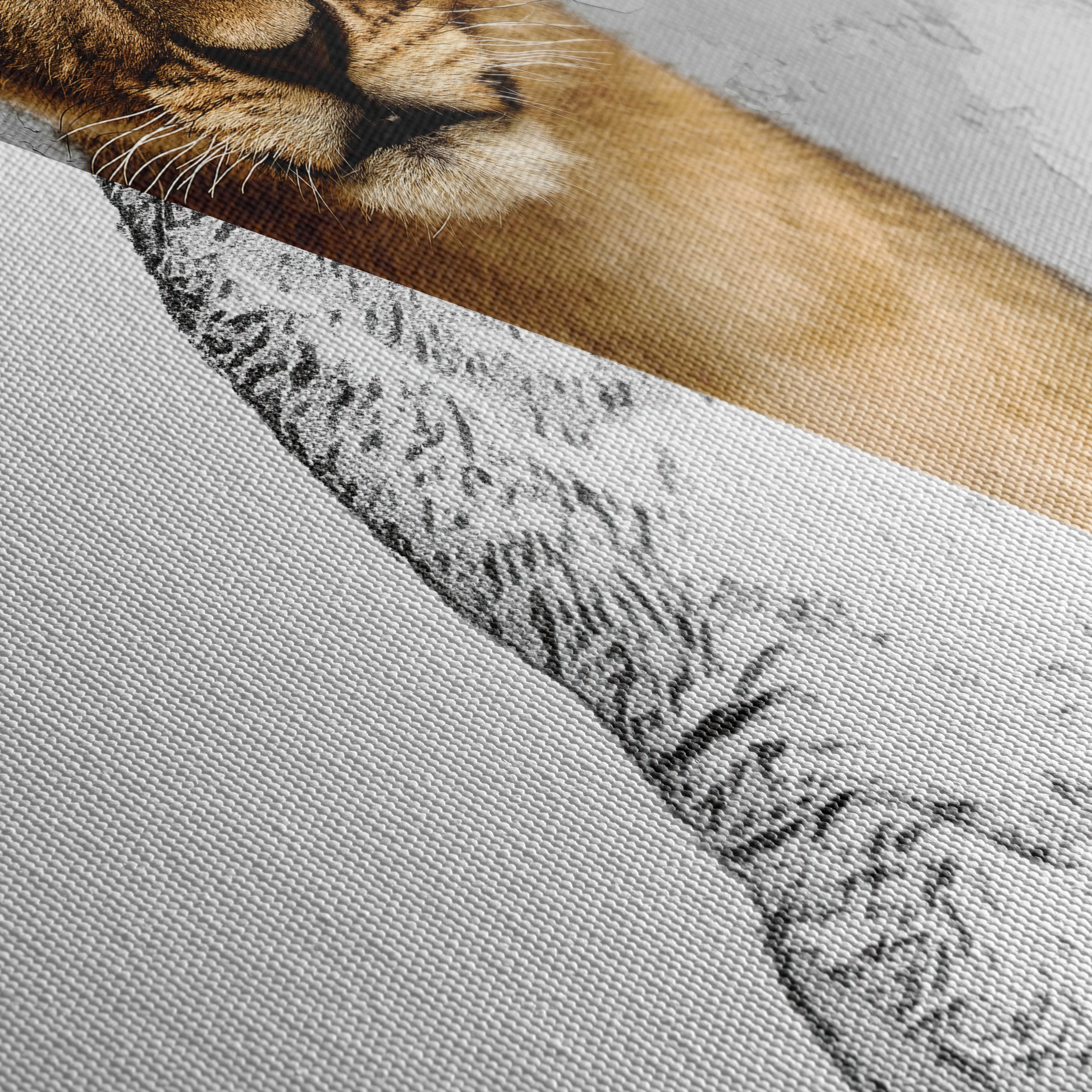 Stylized Lion Cub Wall Art - Image 5