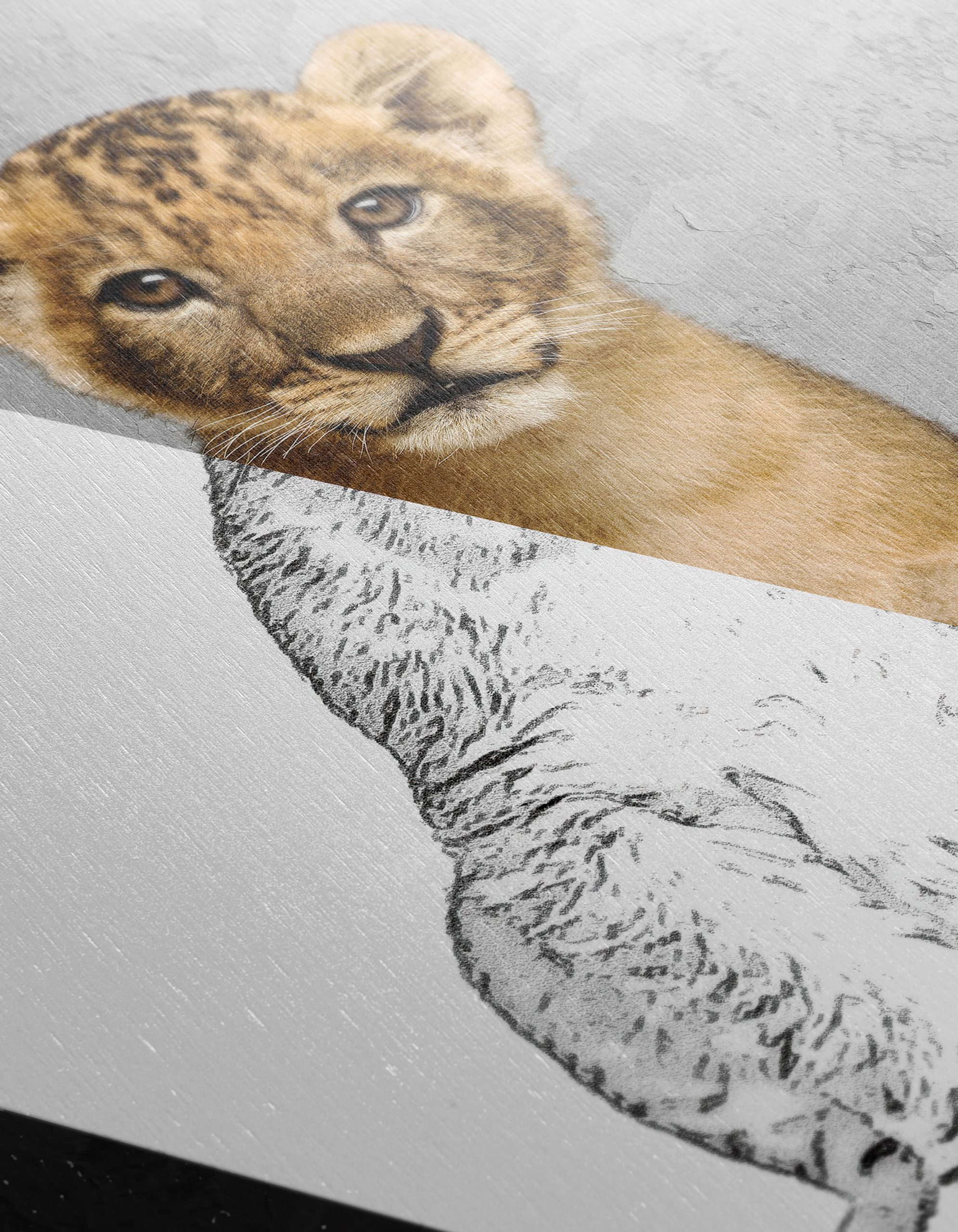 Stylized Lion Cub Wall Art - Image 12
