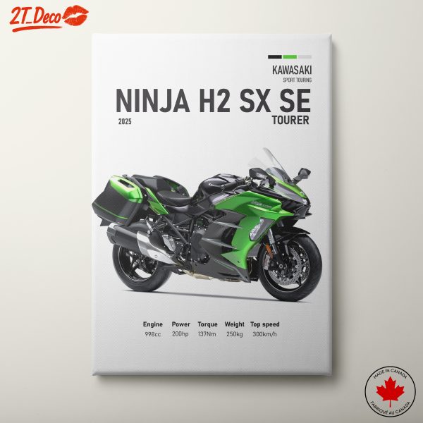 Kawasaki Ninja H2 SX SE 2025 Motorcycle