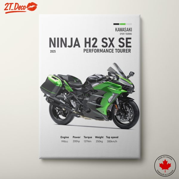 Kawasaki Ninja H2 SX SE Motorcycle Art 2