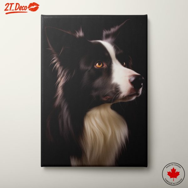 Portrait of a Border Collie Dog