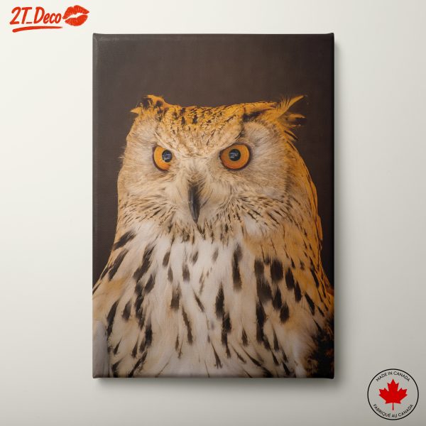 Stunning Owl Portrait with Striking Eyes