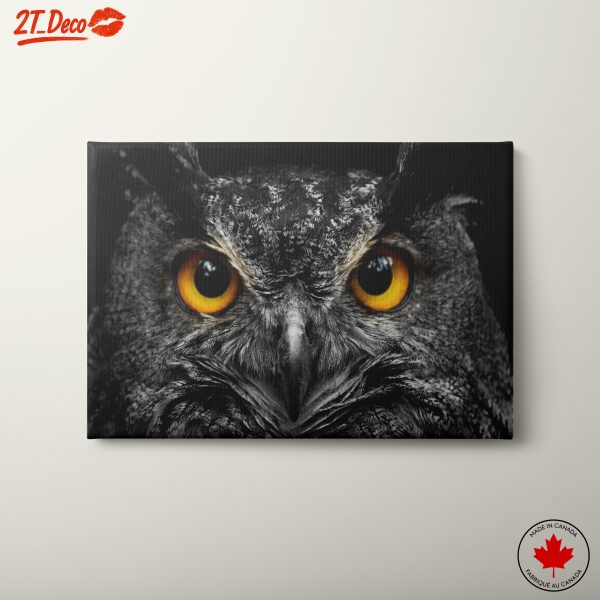 Majestic Owl Portrait with Striking Eyes