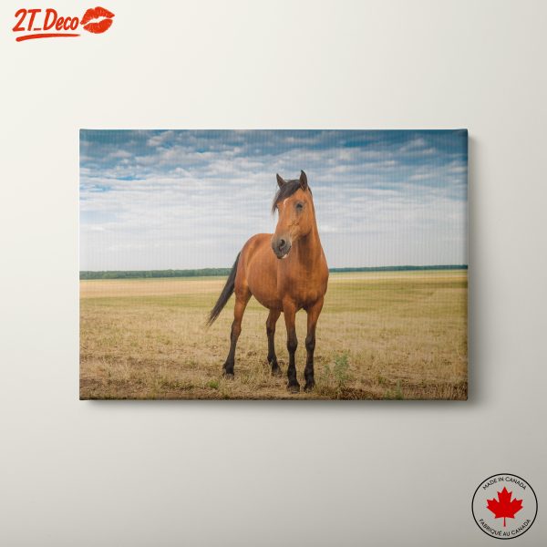 Beautiful Horse in Natural Landscape