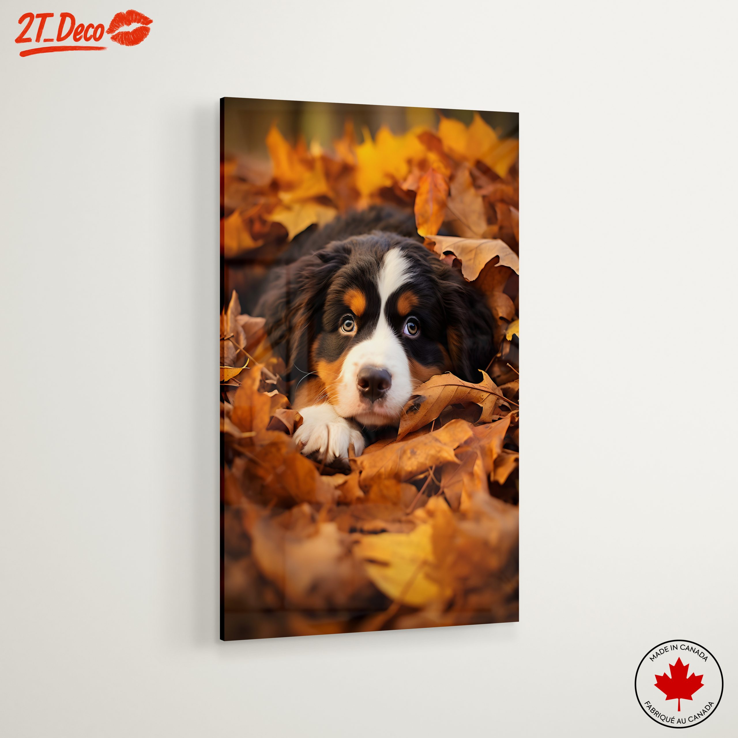 Cute Dog Lying in Leaves - Image 6
