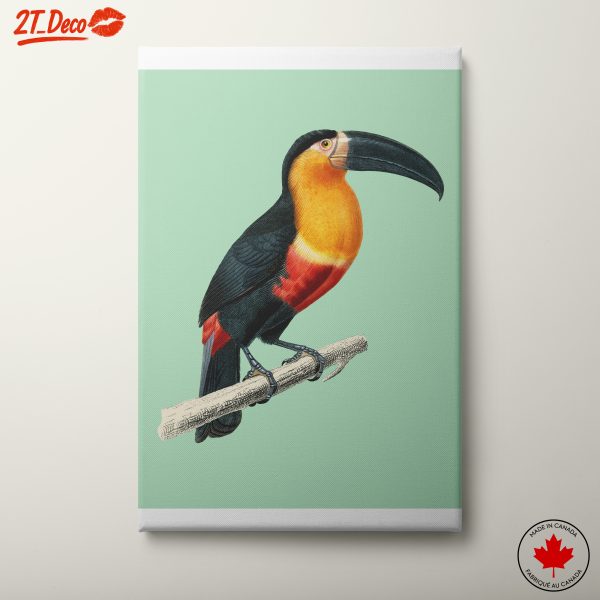 Illustrated Toucan Wall Art