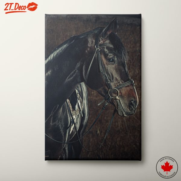 Elegant Horse Portrait in Natural Light