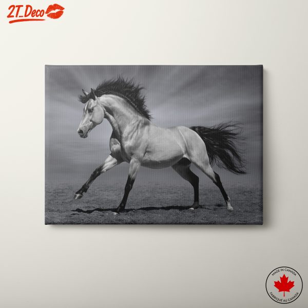 Elegant Galloping Horse Wall Art