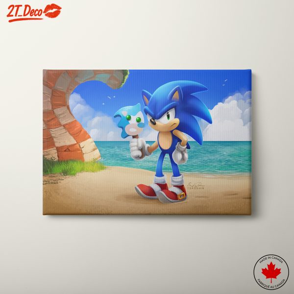 Sonic Character In Beach Landscape