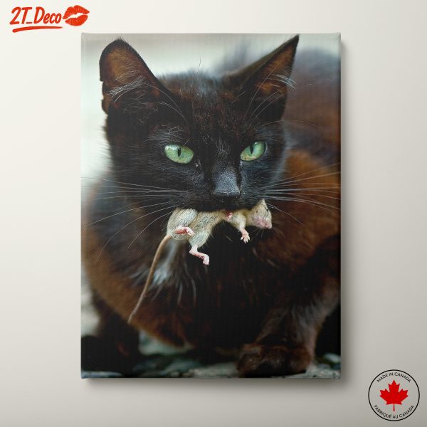 Black Cat with Its Catch