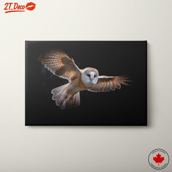 Stunning Owl in Flight Wall Art