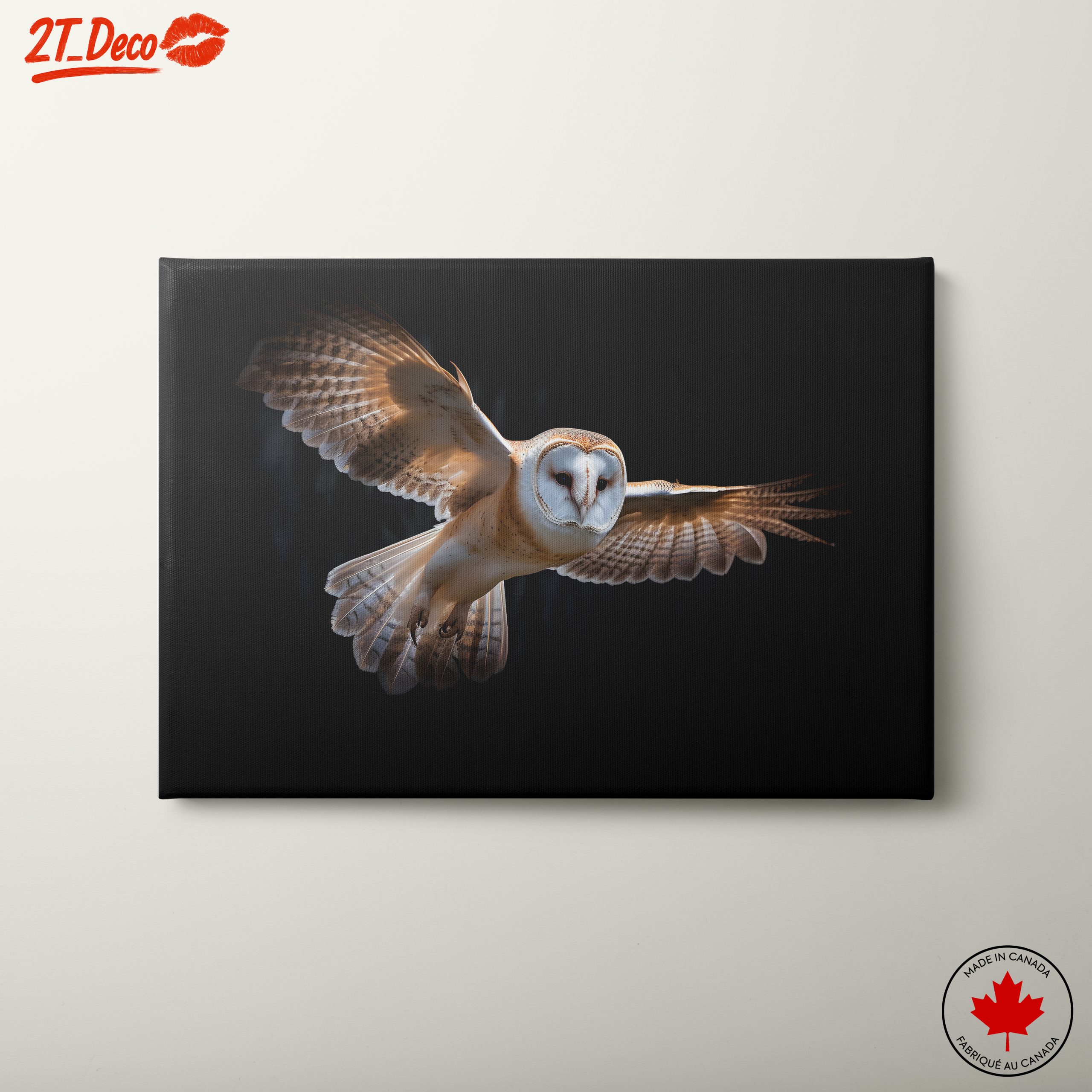 Stunning Owl in Flight Wall Art