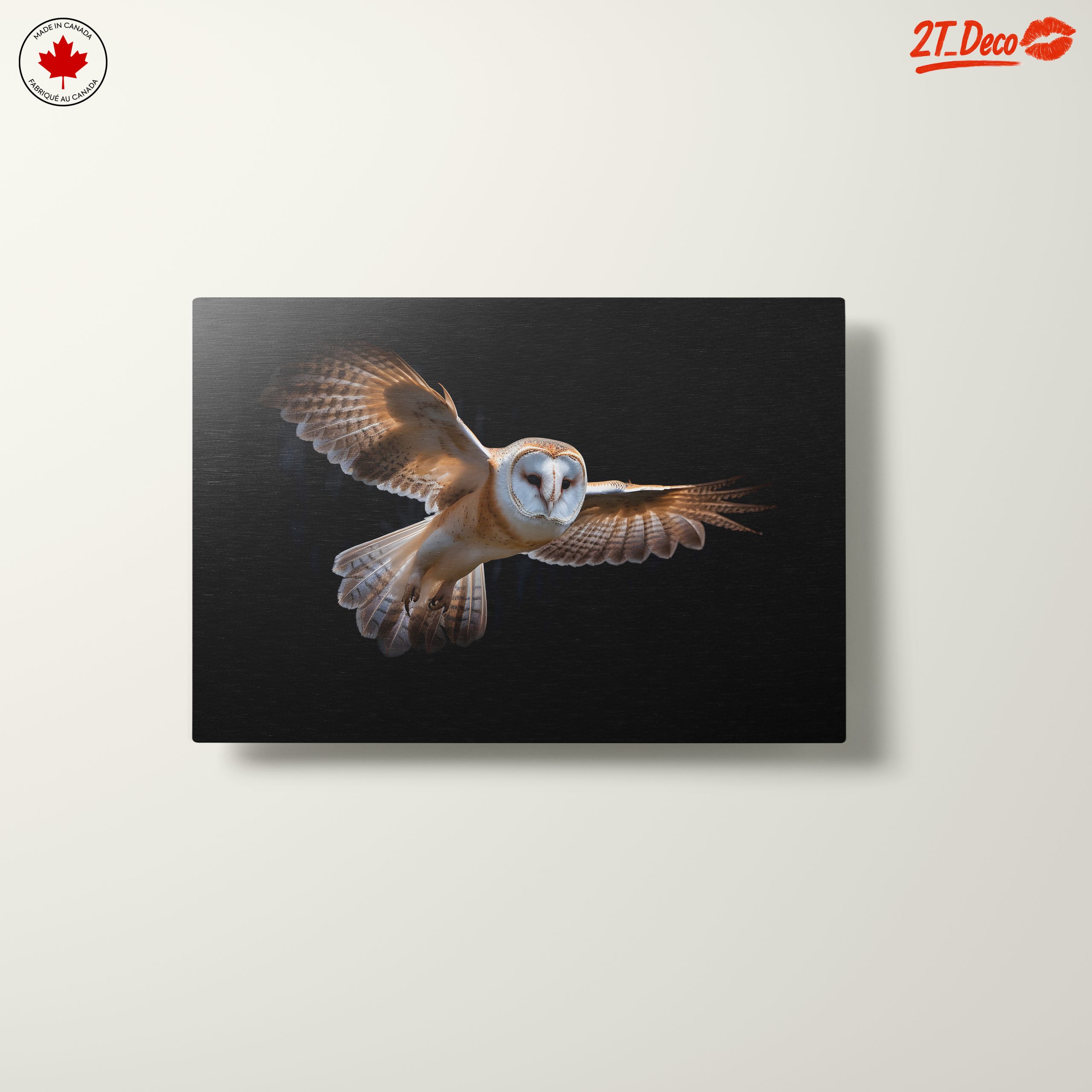 Stunning Owl in Flight Wall Art - Image 10
