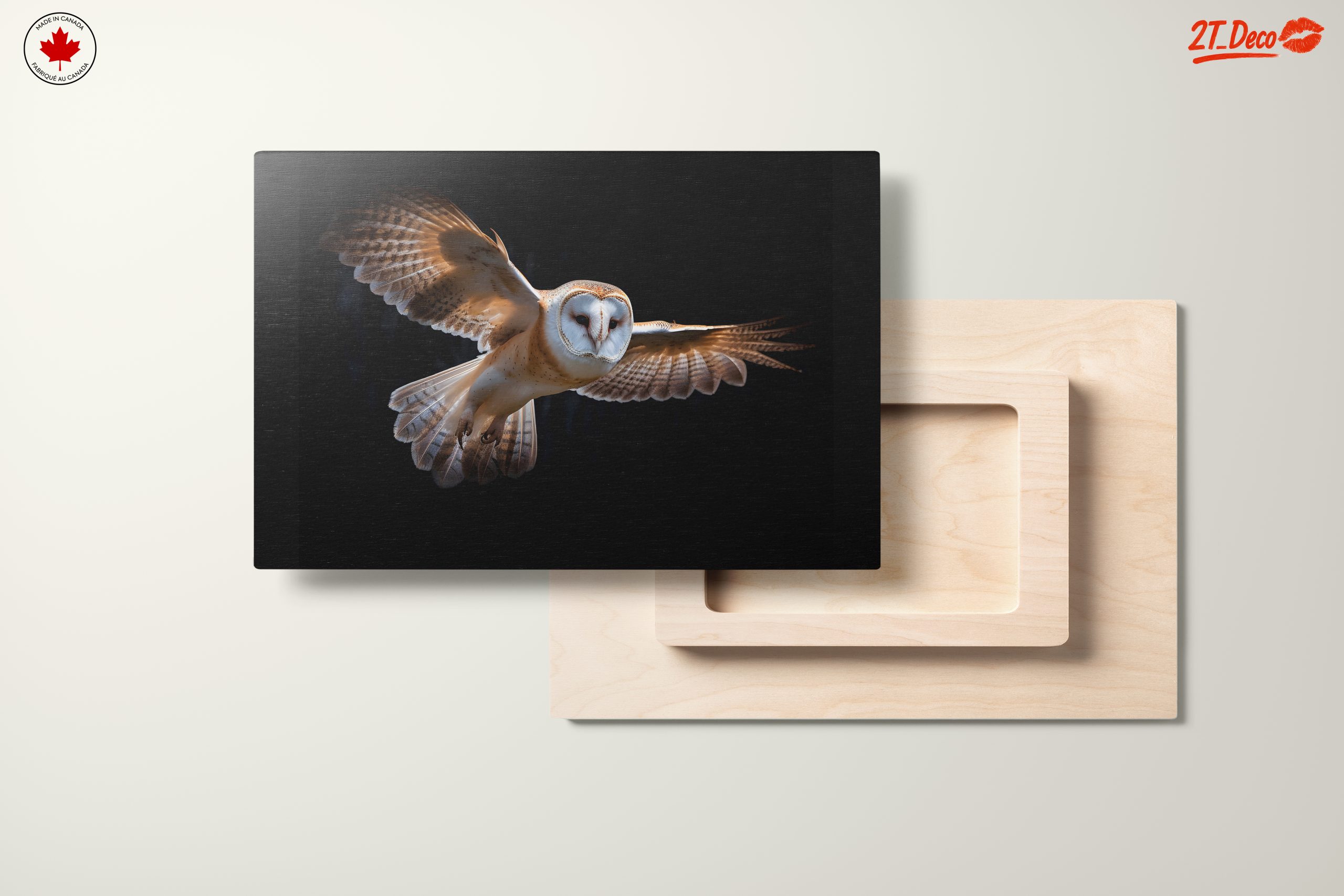Stunning Owl in Flight Wall Art - Image 11