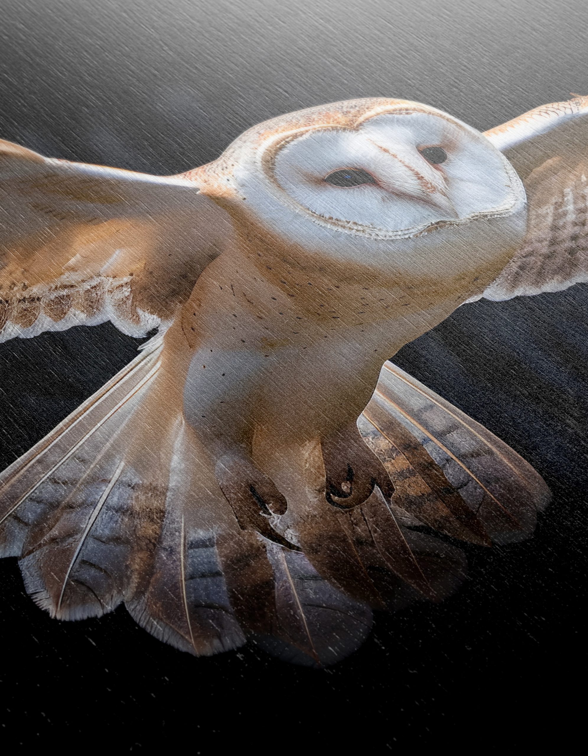 Stunning Owl in Flight Wall Art - Image 12