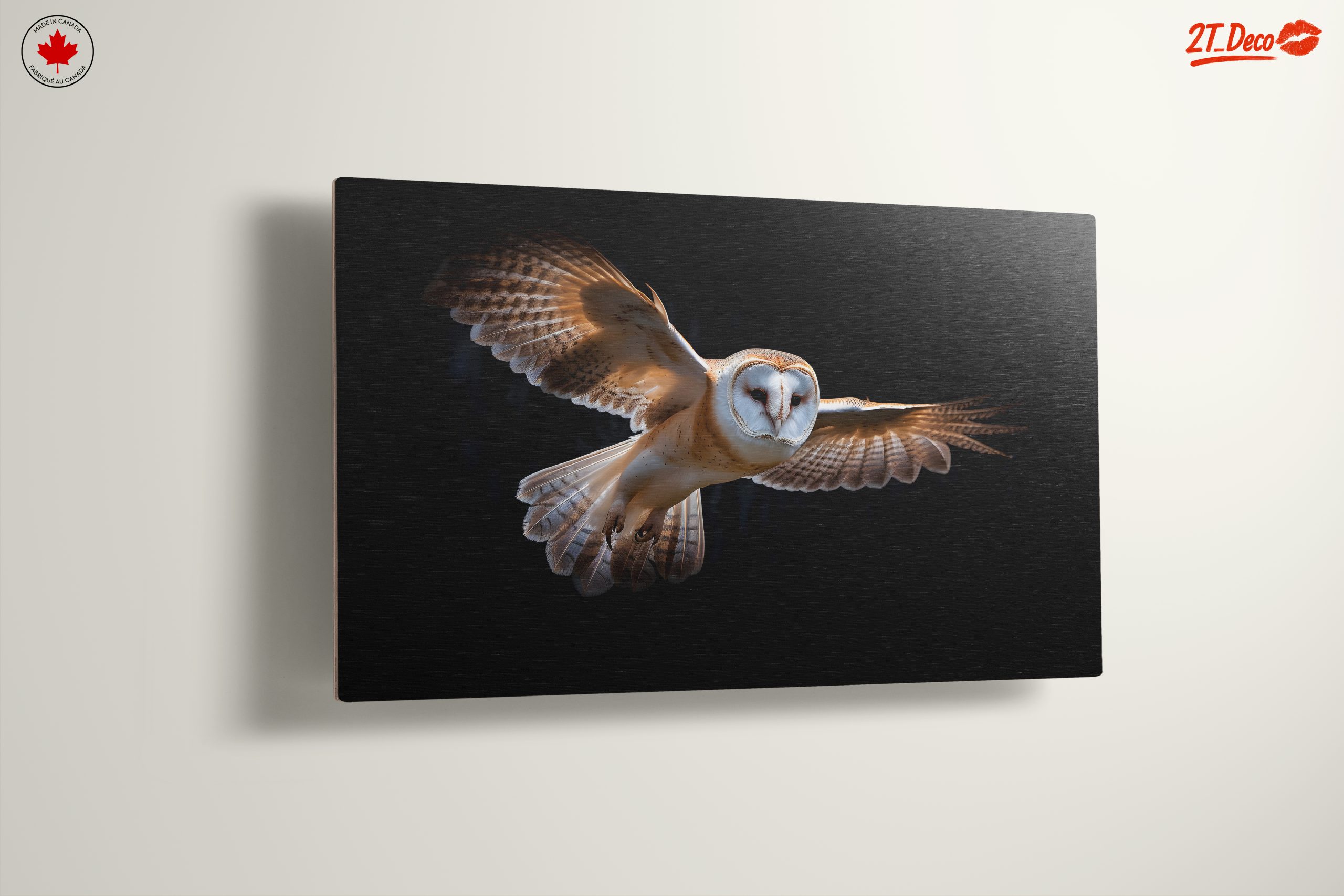 Stunning Owl in Flight Wall Art - Image 13