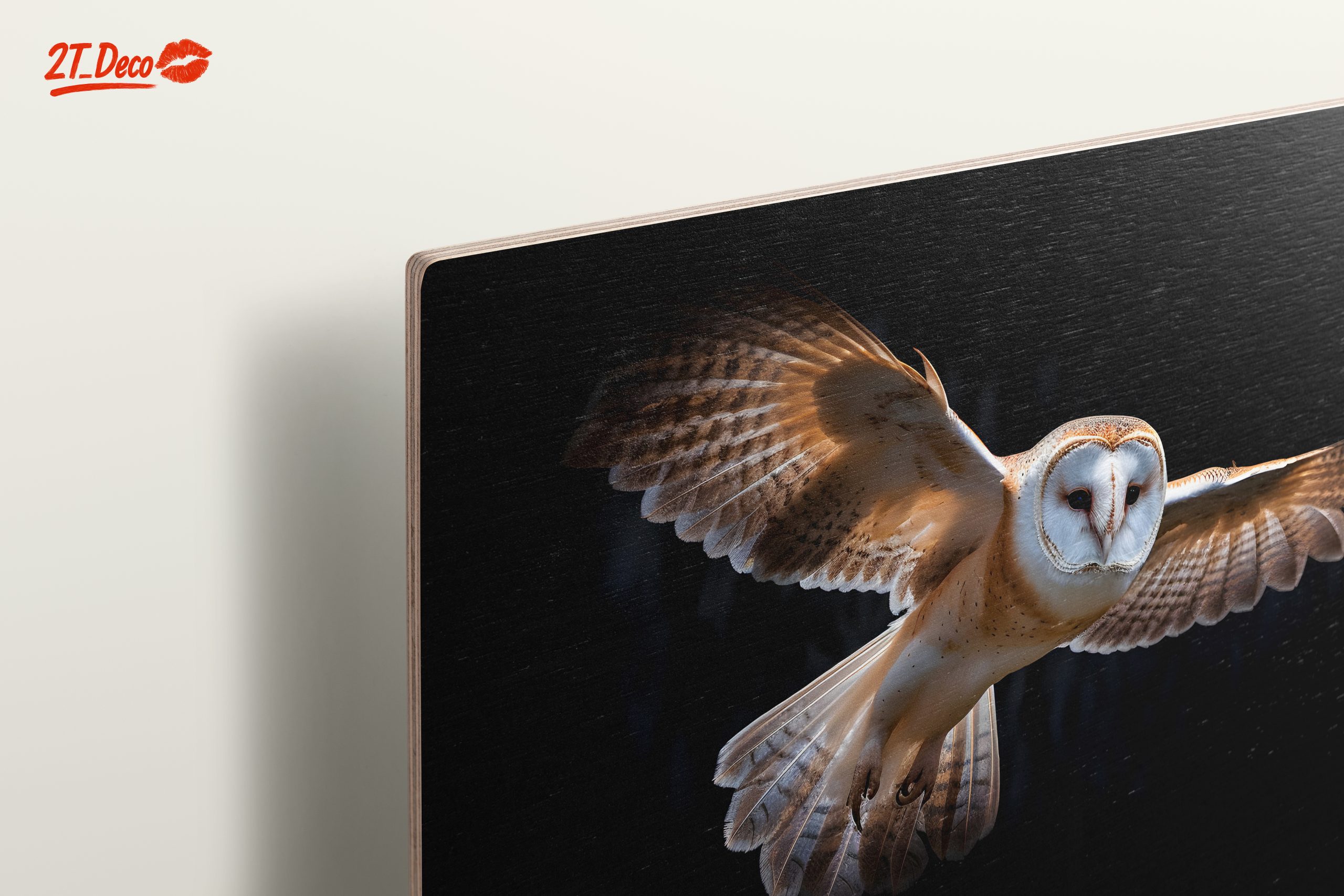 Stunning Owl in Flight Wall Art - Image 15