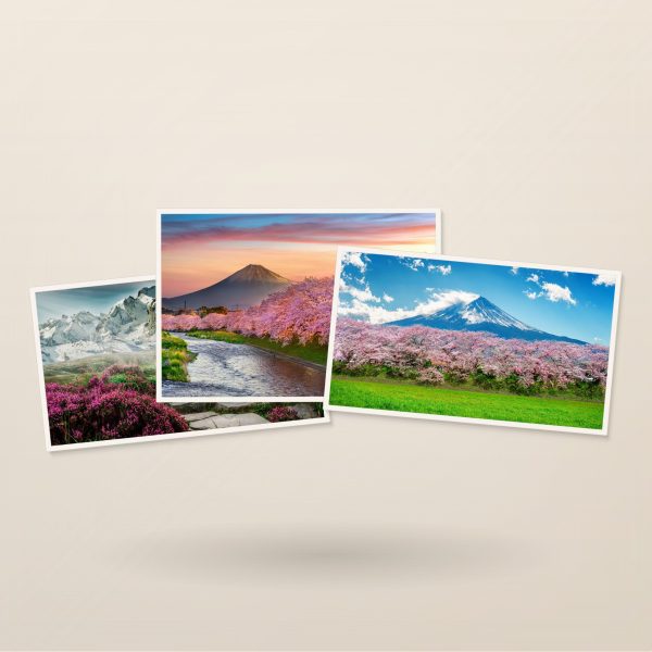 Landscapes – Spring