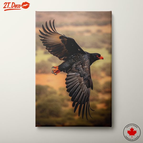 Majestic Eagle in Flight Wall Art 4