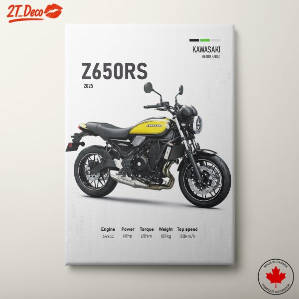 Kawasaki Z650RS Retro Naked Motorcycle Art