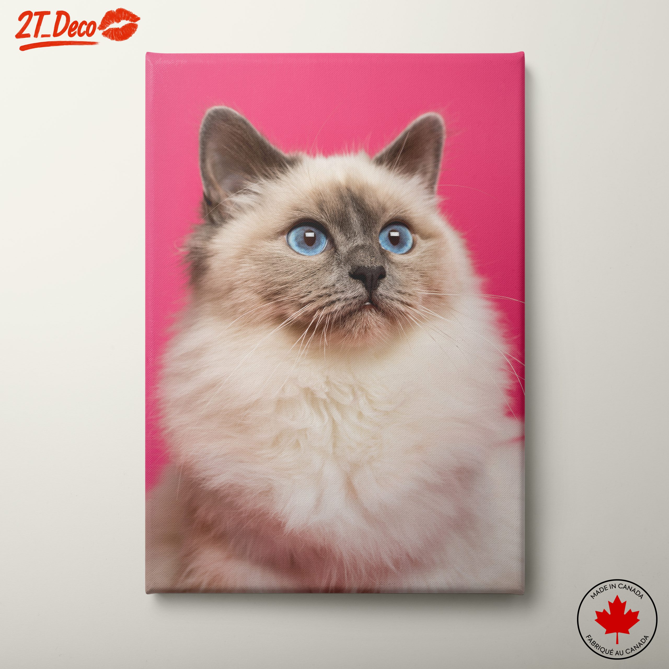 Stunning Cat Portrait with Blue Eyes