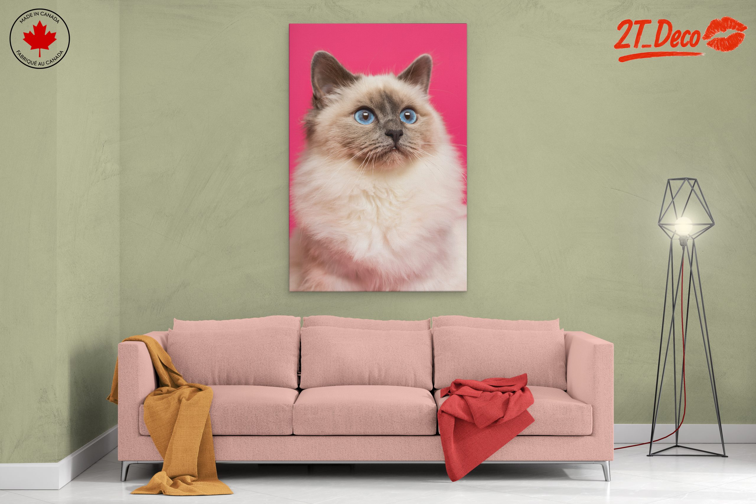 Stunning Cat Portrait with Blue Eyes - Image 2