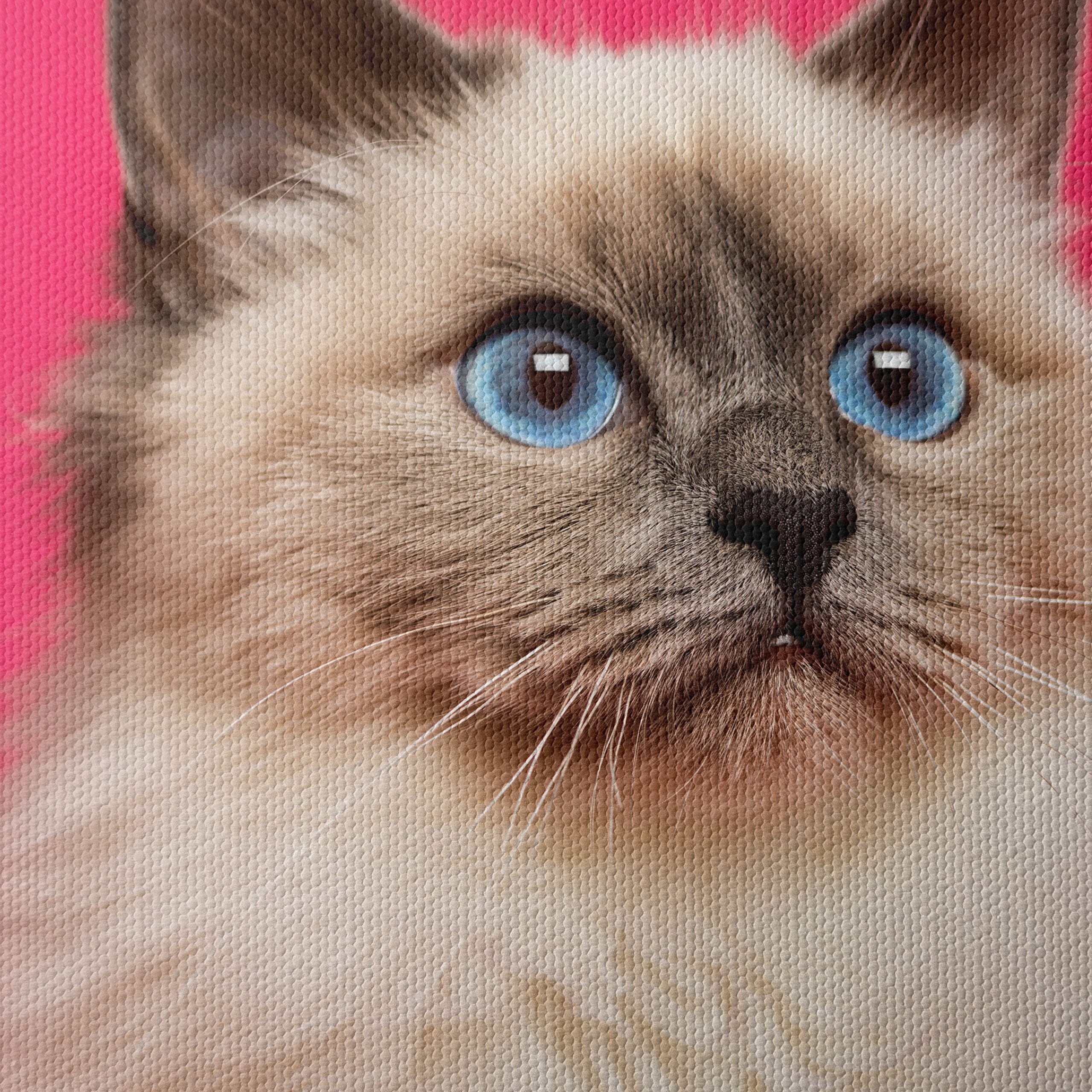 Stunning Cat Portrait with Blue Eyes - Image 4