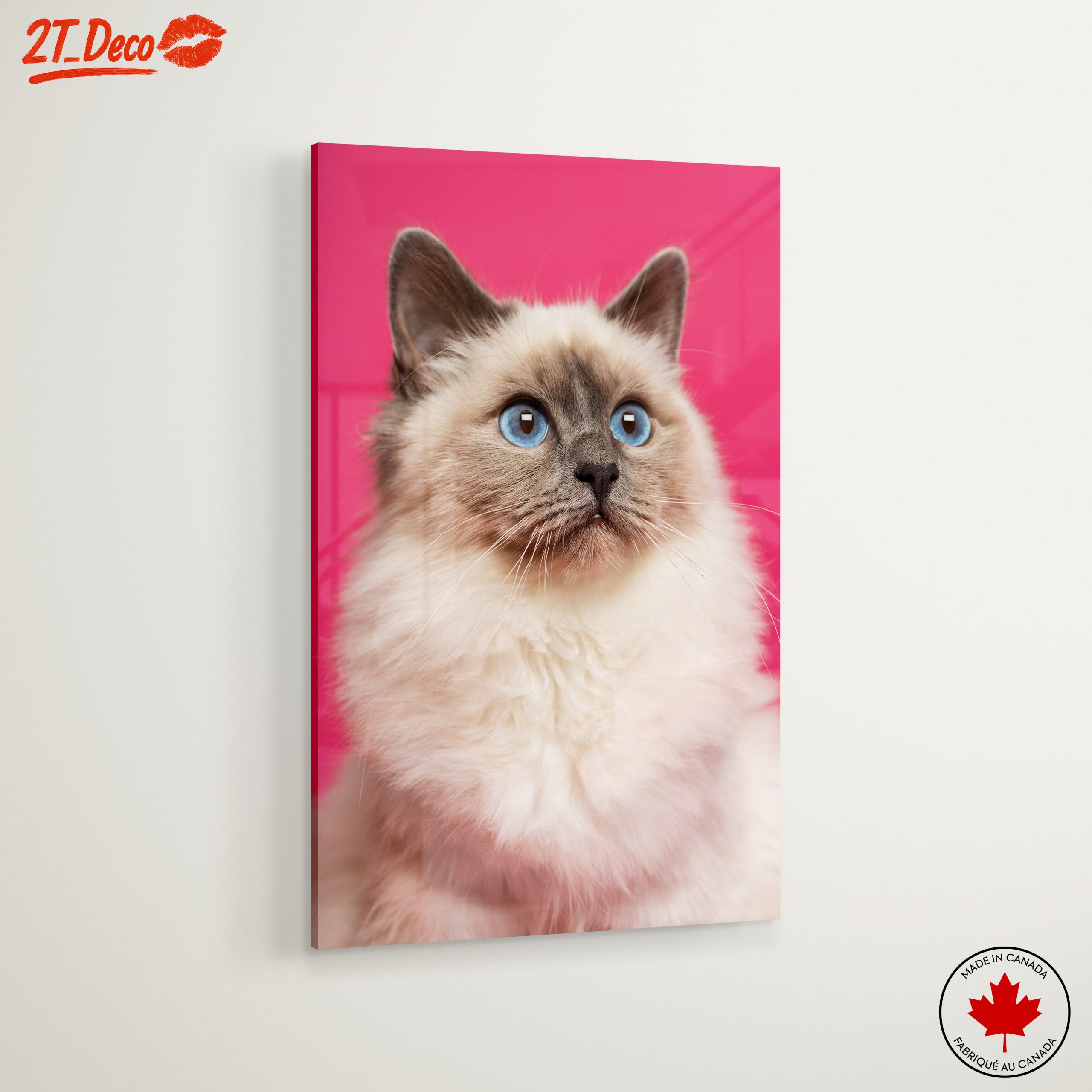 Stunning Cat Portrait with Blue Eyes - Image 6