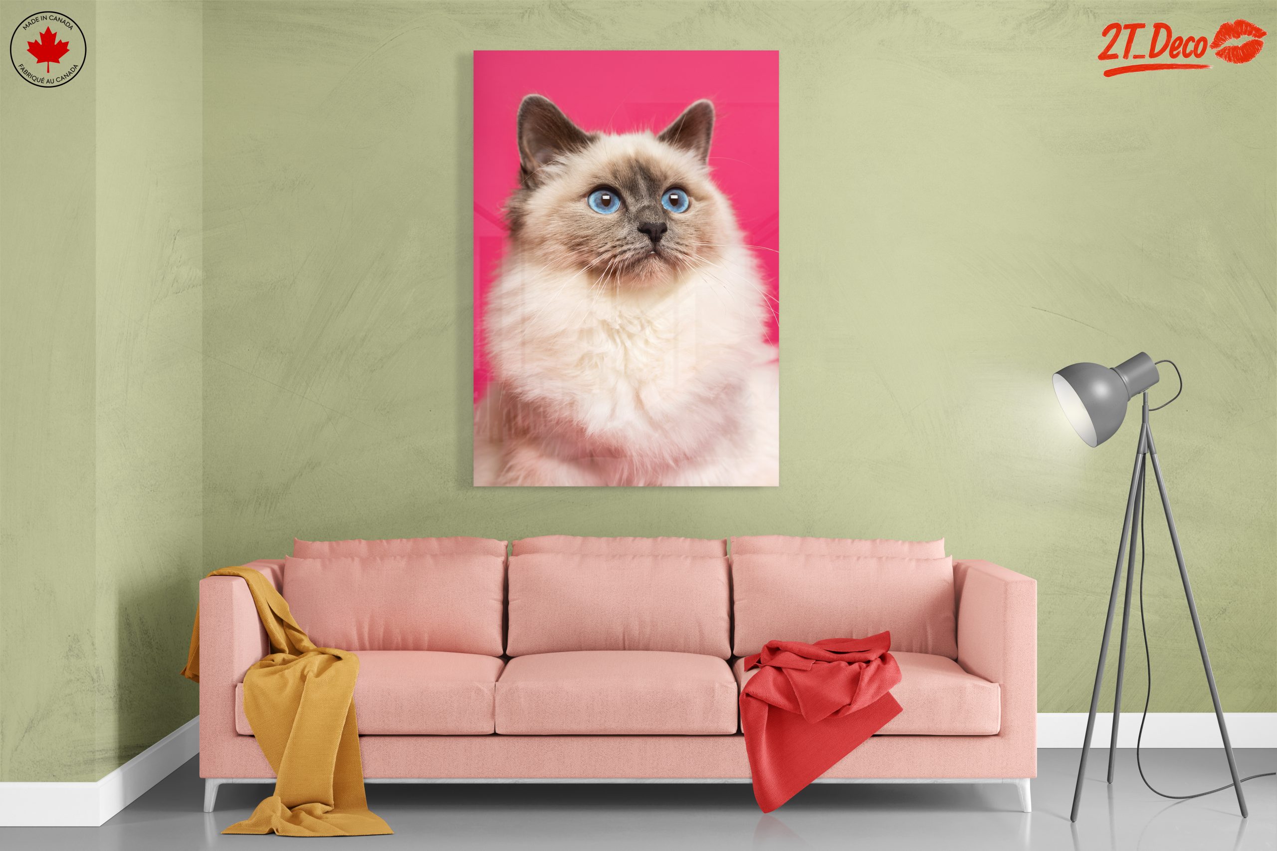 Stunning Cat Portrait with Blue Eyes - Image 7